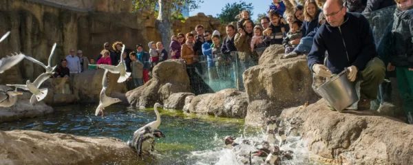 zoo en Auvergne.png