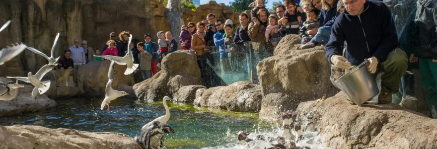 zoo en Auvergne.png